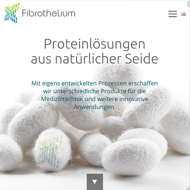 Ansicht der Website von Fibrothelium.