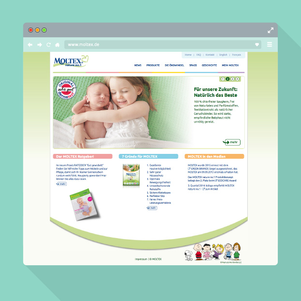 Webdesign von Moltex