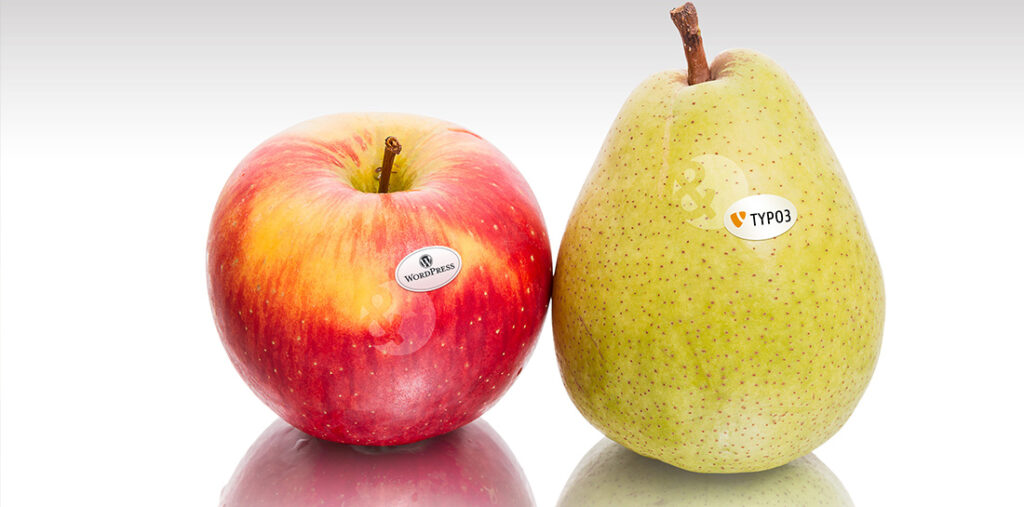 WordPress und Typo3 im Vergleich. Welches Content Management System ist das richtige?