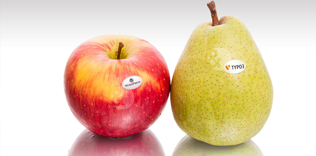 WordPress und Typo3 im Vergleich. Welches Content Management System ist das richtige?