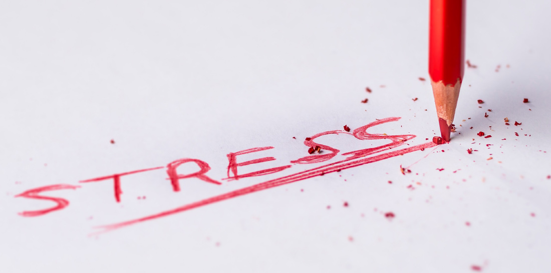 Updates bei Wordpress stets im Blick mit dem Wartungsvertrag bei etcetera.