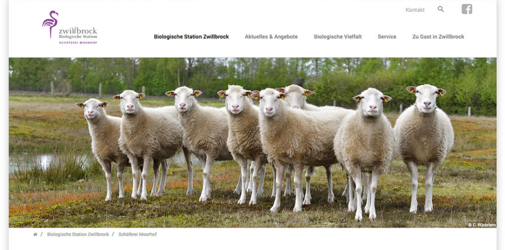 Mithilfe von Wappler Systems wurde die Website der Biologischen Station Zwillbrock relauncht, so dass alle Veranstaltungen und Angebote schnell zu finden sind.