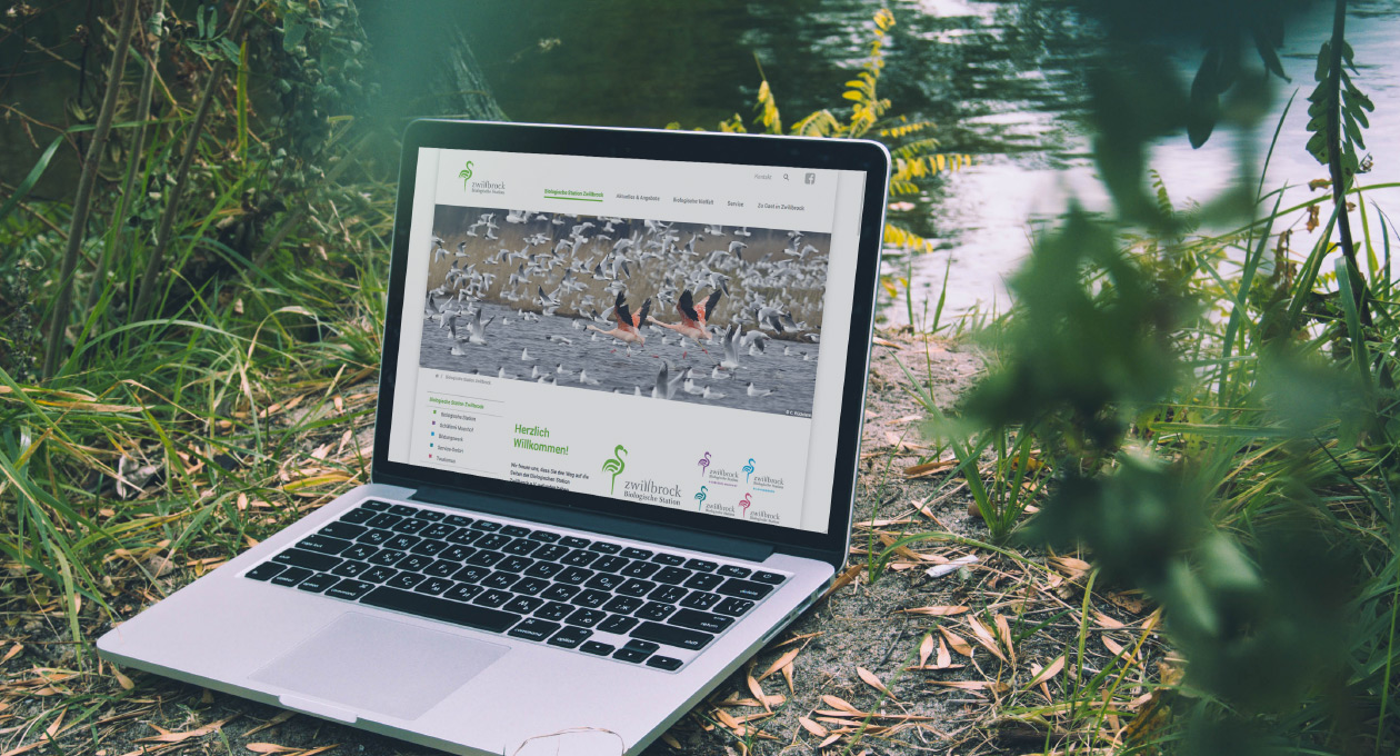 Ansicht der Website der Biologischen Station Zwillbrock auf einem Laptop, stehend an einem Seeufer.