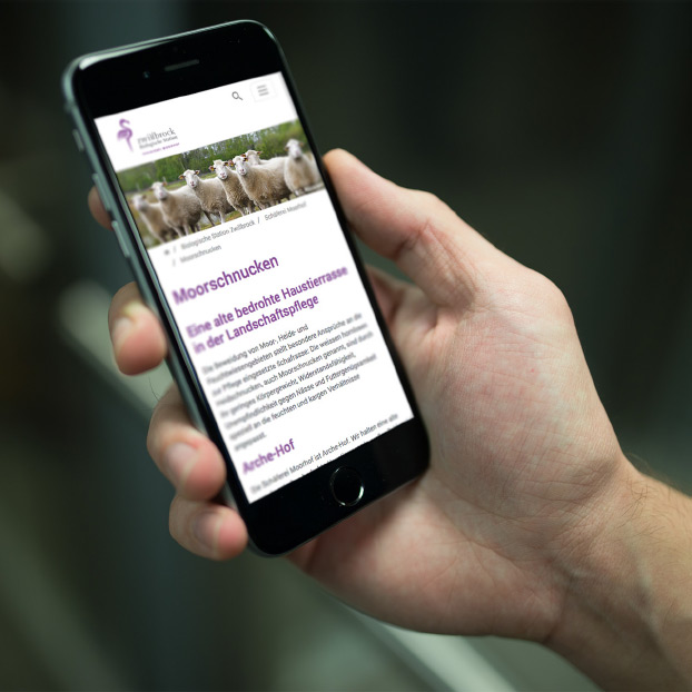 Ansicht der Website der Biologischen Station Zwillbrock auf einem Smartphone.