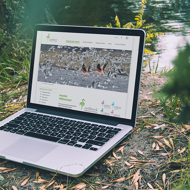 Ansicht der Website der Biologischen Station Zwillbrock auf einem Laptop, stehend an einem Seeufer.